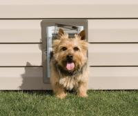 Dog Door Installation In SLO image 4